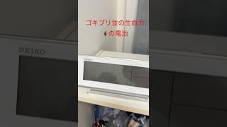 最強の生命力を持つ電池🔋