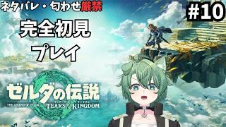 【ゼルダの伝説ティアーズオブザキングダム】#10 今日も地下へ!ポゥってなんだ・・・? 個人勢VTuber/汐凪碧/完全初見】