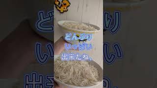 ポンコツが止まらないドレミの歌part4 #新人vtuber #vtuber #shorts