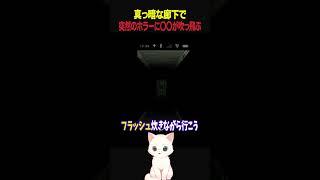 【ホラゲ】スマホのフラッシュで見えたのは○○だった…【Vtuber絶叫】 #ゲーム実況 #発狂 #実況プレイ