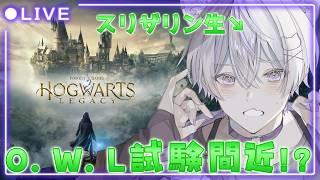 09〖ホグワーツ・レガシー┊睡眠導入〗そろそろアバダが来る気配〖紺瀬のあ┊Vtuber┊ネタバレ注意〗