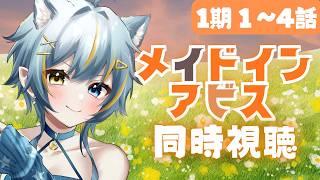 〖同時視聴・メイドインアビス1期〗完全初見!不穏、心抉られる、苦しくなる系作品が好き&感受性が豊かな低音ハスキーボイス女が観るよ!〖 Vtuber/ひなつきそう 〗