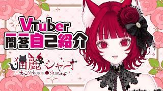 【自己紹介】#Vtuber一問一答自己紹介【#猫麗シャオ /新人Vtuber】