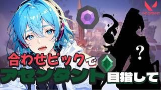 【VALOの光の中で~♪】コツコツト ×アセンダント【VALORANT】