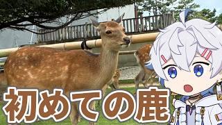 【 奈良観光 】奈良で初めて鹿に遭遇【 vtuber 】