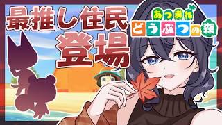 【あつ森】結構発展したwまったり寝落ち大歓迎 #Vtuber