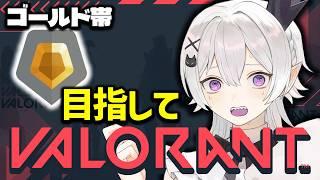 【VAROLANT】ピックが日本人すぎるVALORANT 【 2.5次元Vtuber / あぼ】