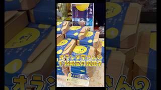 【オランダ家】千葉県ローカル和洋菓子店で十五夜の日限定のお月見団子🌕🍡