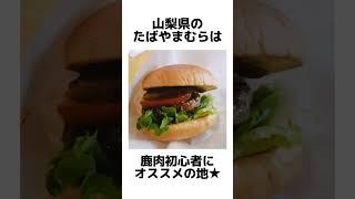 【山梨】おもしれー鹿ばぁーがー🦌🍔 #shorts #個人vtuber #新人vtuber #グルメ