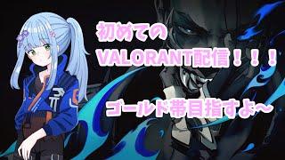 初配信!!!ゴールド帯目指してソロコンペ!!!