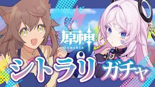 【#原神】ガチャ!|必死に集めた石でシトラリを引く!!!|サンドローネさん か゛わ゛い゛い゛!!| # 68.2