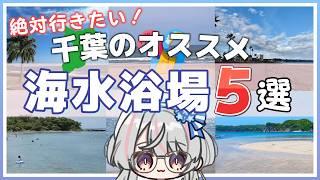🌊絶対行きたい!千葉の海水浴場5選🌊【#千葉県 #ご当地vtuber / #Vちーばっ】