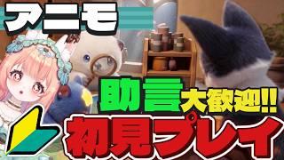 【助言歓迎】アニモやっていく!【初心者】