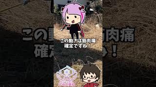 【 DIY 初心者 】「リアル牧場ゲーム!?」 #せっつぇるの秘密基地 【 せっつぇる 】#vtuber #せっつぇる #vtuberclips #Shorts #DIY #超美麗3D Vlog