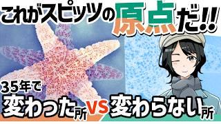 【スピッツ語り20】「スピッツらしさ」の原点に迫る!【まさちゅー@宙庭Channel】