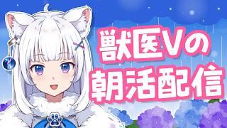 お喋り獣医が元気に語りまくる朝活【北国ここな/獣医Vtuber/朝活配信】