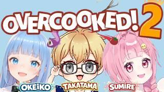 【OVERCOOKED!2】オーバークック2!!鉄人たちの競演✨【新人Vtuber おけいこ】#vtuber #初見さん大歓迎 #オーバークック2 #overcooked2