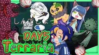 【DAY5】ボス5体ラッシュの日!!!!!【管理人テラリア部/Terraria】