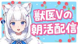お喋り獣医が元気に語りまくる朝活【北国ここな/獣医Vtuber/朝活配信】