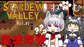 【#StardewValley】Vol.01 こむこむとコラボ!今日は廃墟?を開拓していく!どんな感じになるのかな? #ねこむ【かいねこ/ホラーゲーム配信】