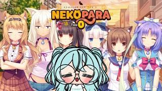 THE MOST IMPORTANT THING IN THE WORLD: CAT GIRL MAIDS