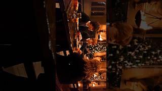 Nothing beats Christmas at Hogwarts 🎄.