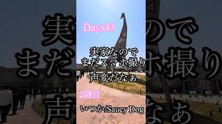 Day43|いつか / Saucy Dog #VTuberの裏垢 #shorts #SaucyDog
