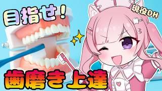 🦷歯科衛生士が教える!奥歯の磨き方レッスン✨現役DHが“届かない場所”徹底解説🐾