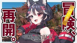 【初見さん・初心者さん歓迎】復帰したので黙々とストーリーすすめようかなって🥺🥺🌱【#FF14】