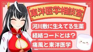 痛風は鍼灸で治るのか?経絡コードってなに?「東洋医学相談室」♯27