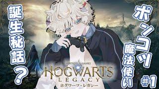 【#hogwartslegacy 】ストーリー進めて魔法の戦闘で大声出してくぞー!ちょっとしたお遊びツールも導入!【#戌星ひつじ/#Vtuber/#少年声Vtuber】