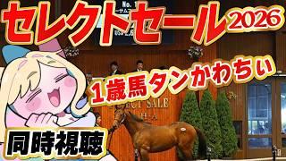 【競馬】1歳馬🏇かわいすぎ!!セレクトセール2026を一緒にみよう!【 同時視聴】#Vtuber #反応
